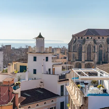 - Ti Palma de Mallorca